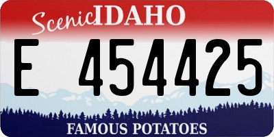 ID license plate E454425