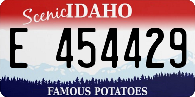ID license plate E454429