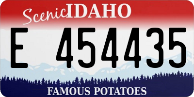 ID license plate E454435