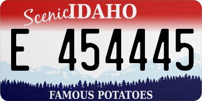 ID license plate E454445