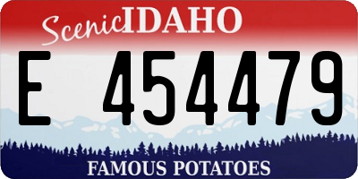 ID license plate E454479