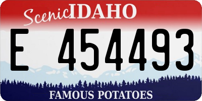 ID license plate E454493