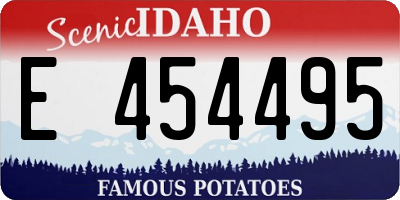 ID license plate E454495