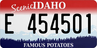 ID license plate E454501