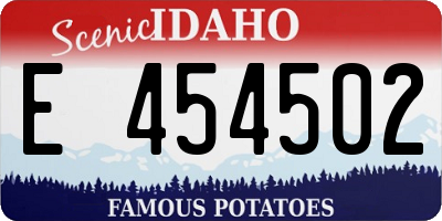 ID license plate E454502