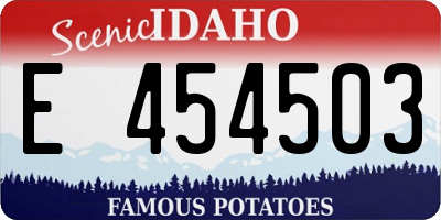 ID license plate E454503