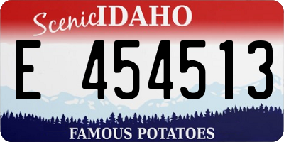 ID license plate E454513