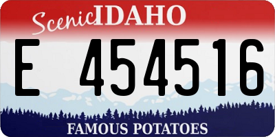 ID license plate E454516