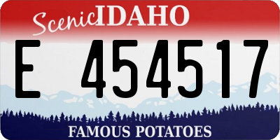 ID license plate E454517