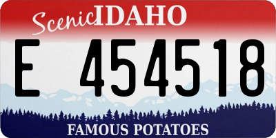 ID license plate E454518
