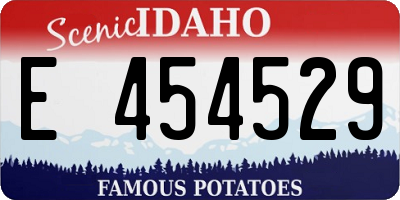 ID license plate E454529