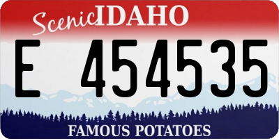 ID license plate E454535