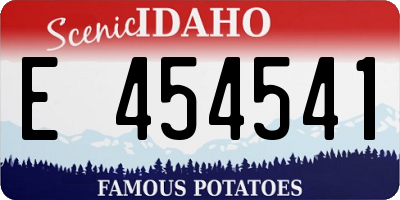 ID license plate E454541