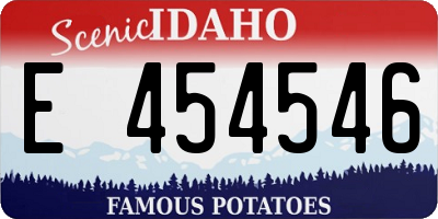 ID license plate E454546
