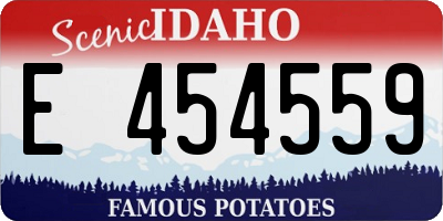 ID license plate E454559
