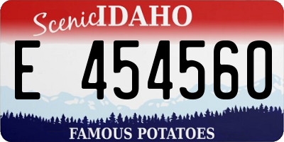 ID license plate E454560
