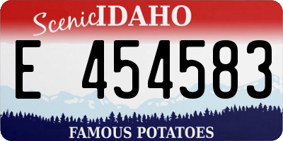 ID license plate E454583