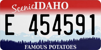 ID license plate E454591