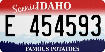 ID license plate E454593