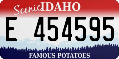 ID license plate E454595