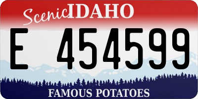 ID license plate E454599