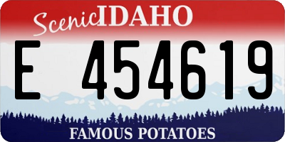 ID license plate E454619
