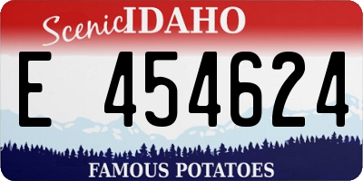 ID license plate E454624