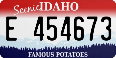 ID license plate E454673