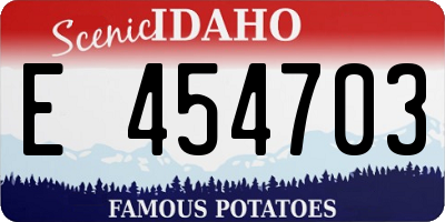 ID license plate E454703