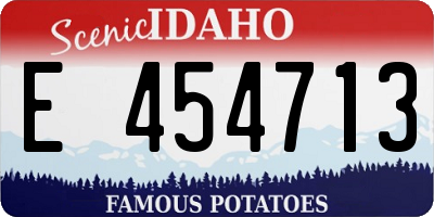 ID license plate E454713