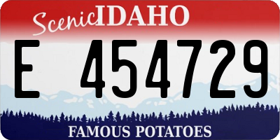 ID license plate E454729