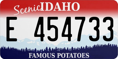 ID license plate E454733