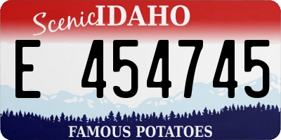 ID license plate E454745