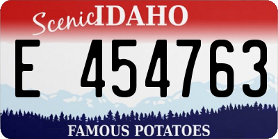 ID license plate E454763