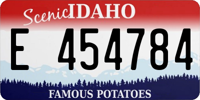 ID license plate E454784