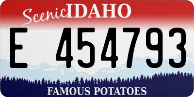 ID license plate E454793