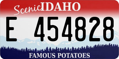 ID license plate E454828