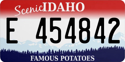 ID license plate E454842