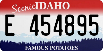 ID license plate E454895