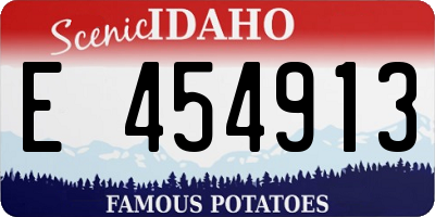 ID license plate E454913