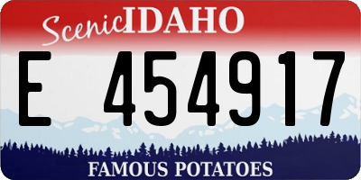 ID license plate E454917
