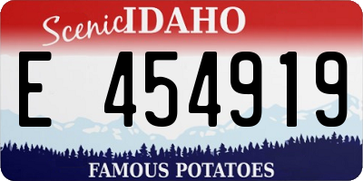 ID license plate E454919