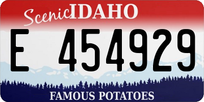 ID license plate E454929