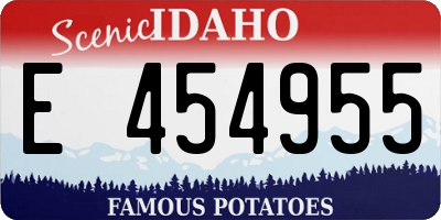 ID license plate E454955