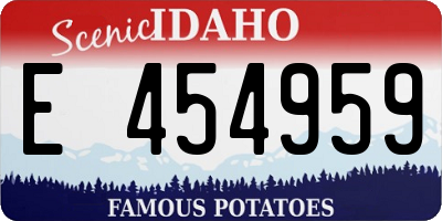 ID license plate E454959