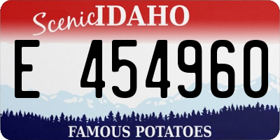 ID license plate E454960