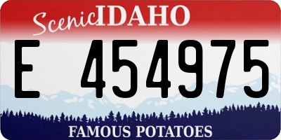 ID license plate E454975