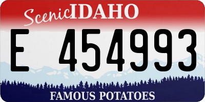 ID license plate E454993
