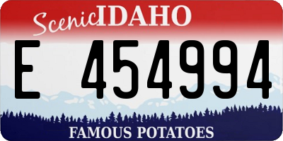ID license plate E454994
