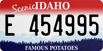 ID license plate E454995